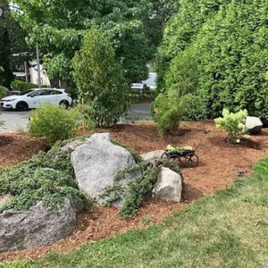 Landscape Design